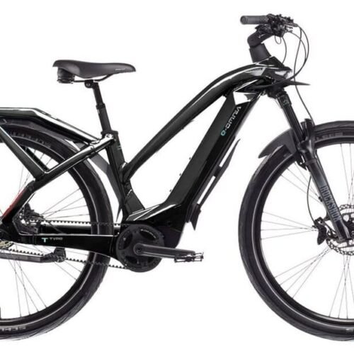 Bianchi E-Omnia T Type ST Nexus 625 Wh 29 Zoll Trapez