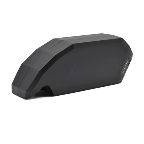 Bosch PowerPack 700 Performance Active Rahmen von E-Bike Vision