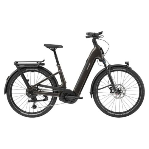 Cannondale TESORO 1 LSTH Trekking E-Bike 29″ 2025 schwarz